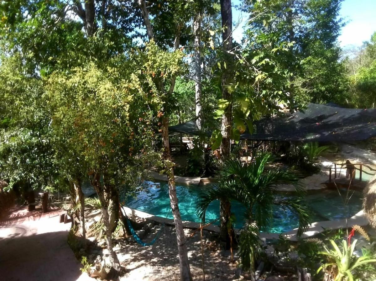 Zapote En Rancho Jaguares Jungle Retreat Tulum