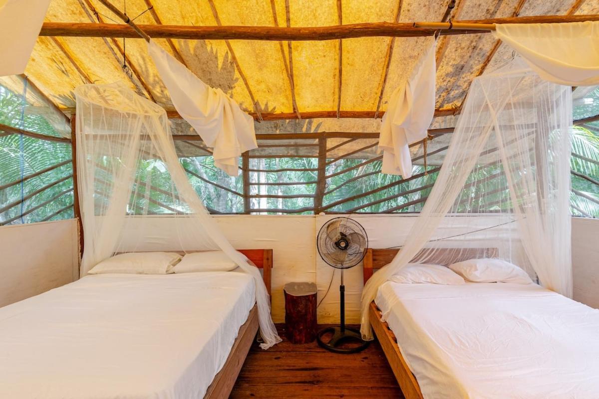 Campsite Zapote En Rancho Jaguares Jungle Retreat