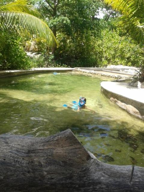 Campsite Zapote En Rancho Jaguares Jungle Retreat *