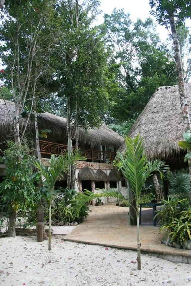 Zapote En Rancho Jaguares Jungle Retreat Campsite *