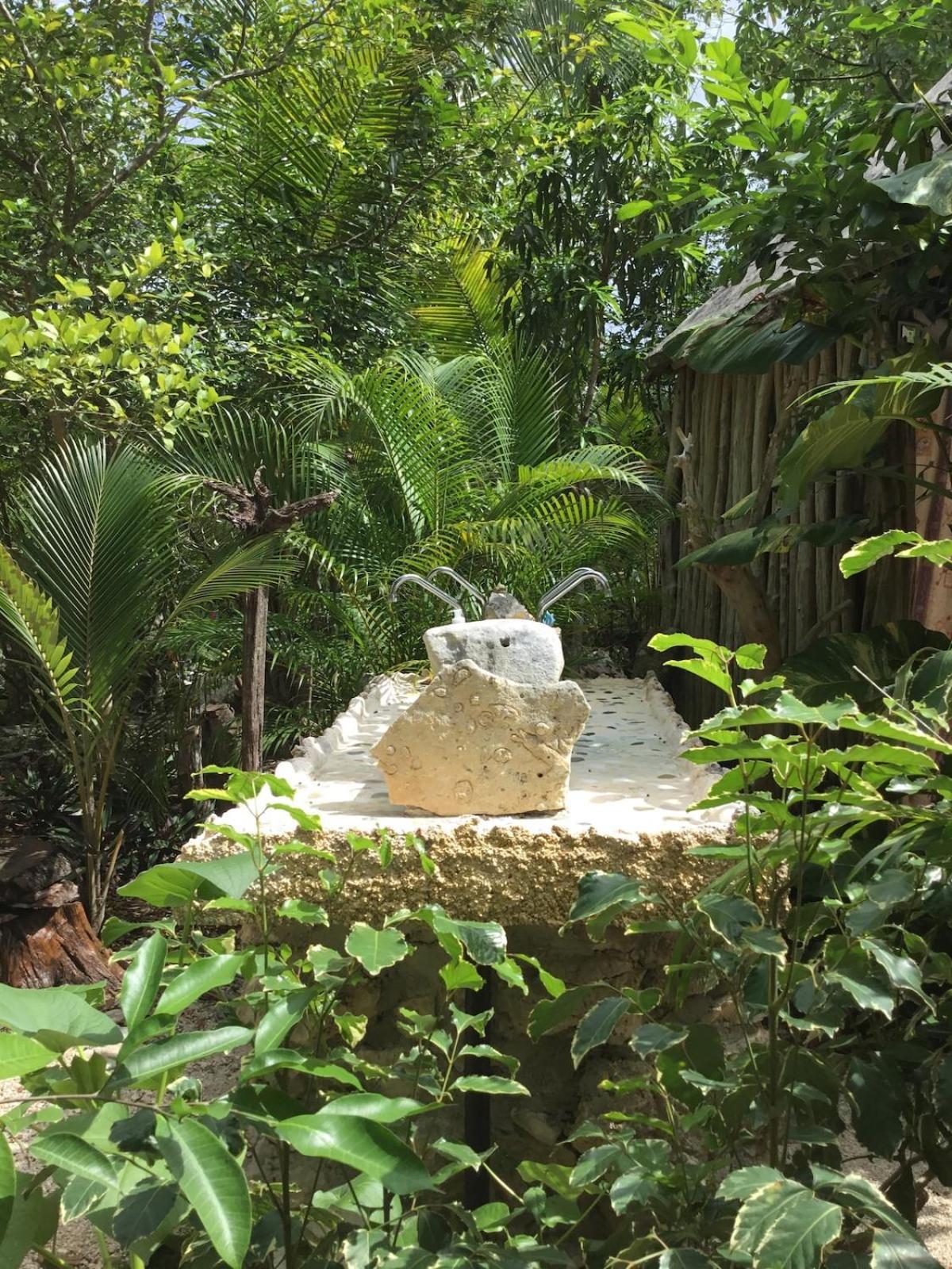 Campsite Zapote En Rancho Jaguares Jungle Retreat *