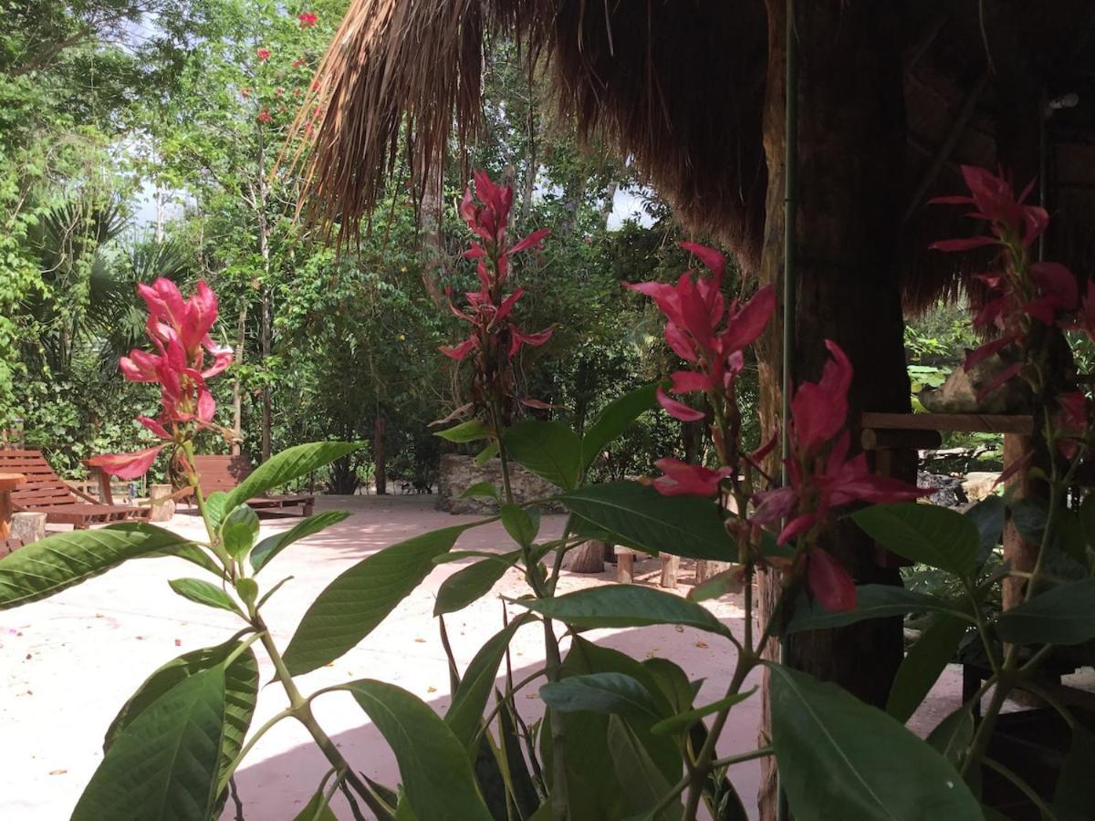 Zapote En Rancho Jaguares Jungle Retreat * Tulum