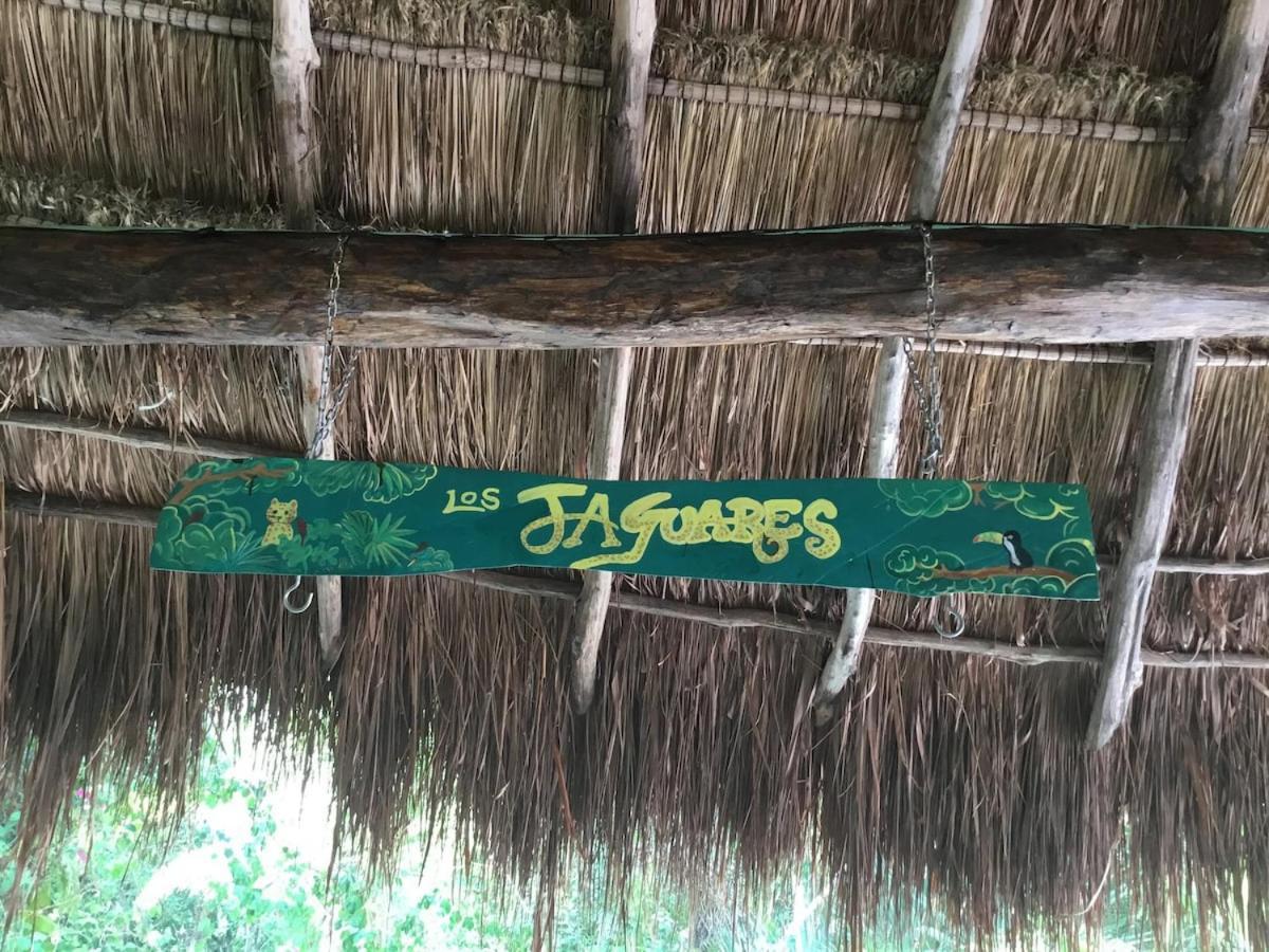 Campsite Zapote En Rancho Jaguares Jungle Retreat