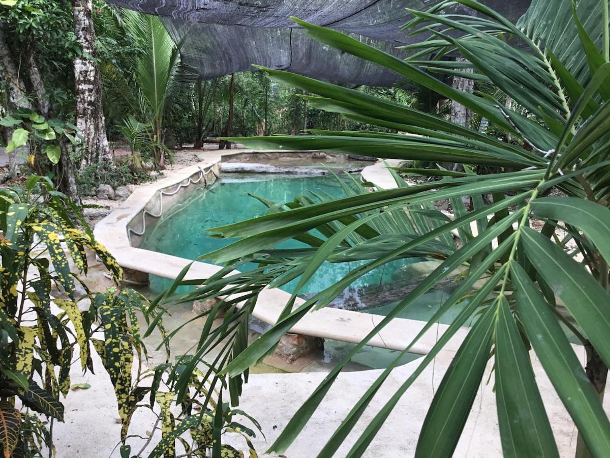 Campsite Zapote En Rancho Jaguares Jungle Retreat Tulum