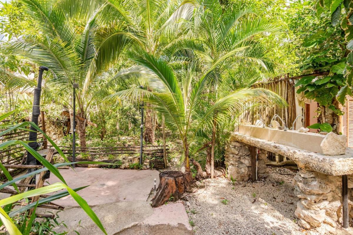 Zapote En Rancho Jaguares Jungle Retreat Campsite Tulum