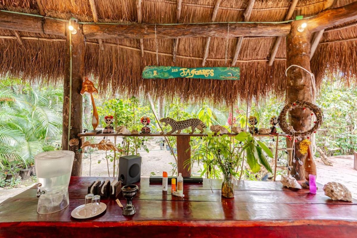 Zapote En Rancho Jaguares Jungle Retreat Campsite