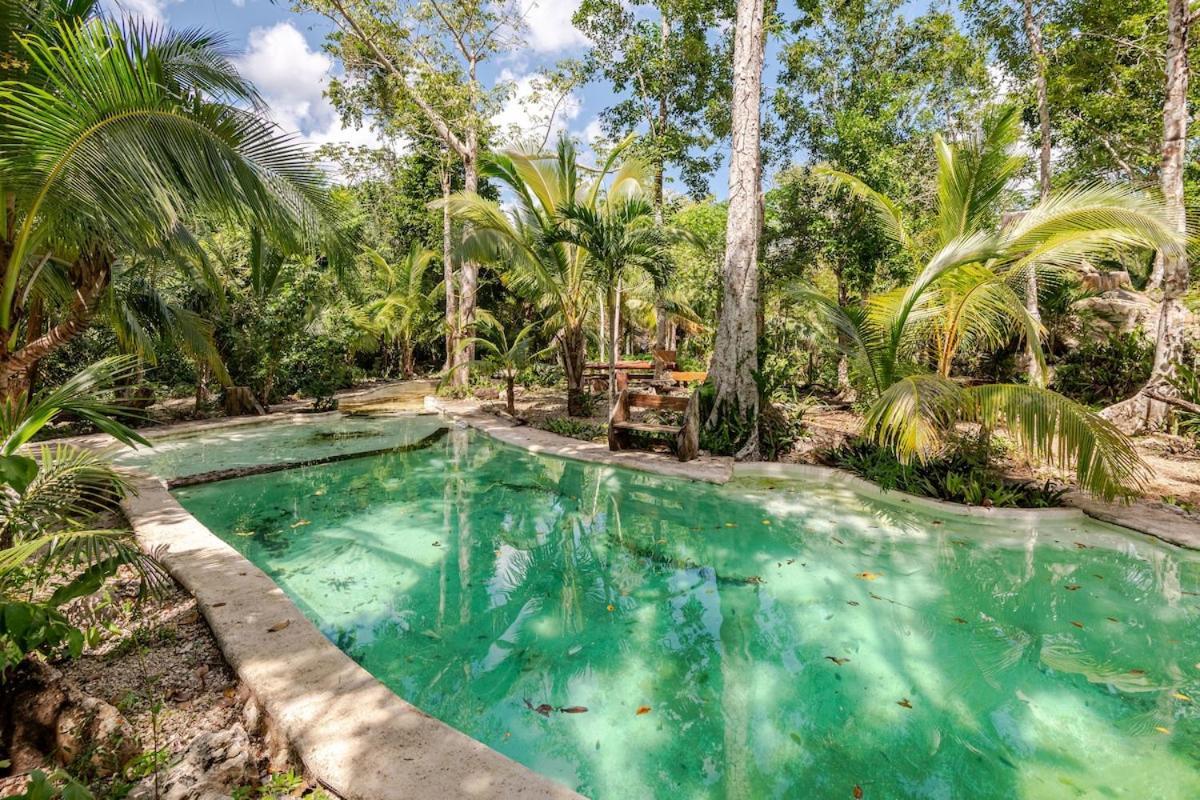 Zapote En Rancho Jaguares Jungle Retreat Campsite Tulum