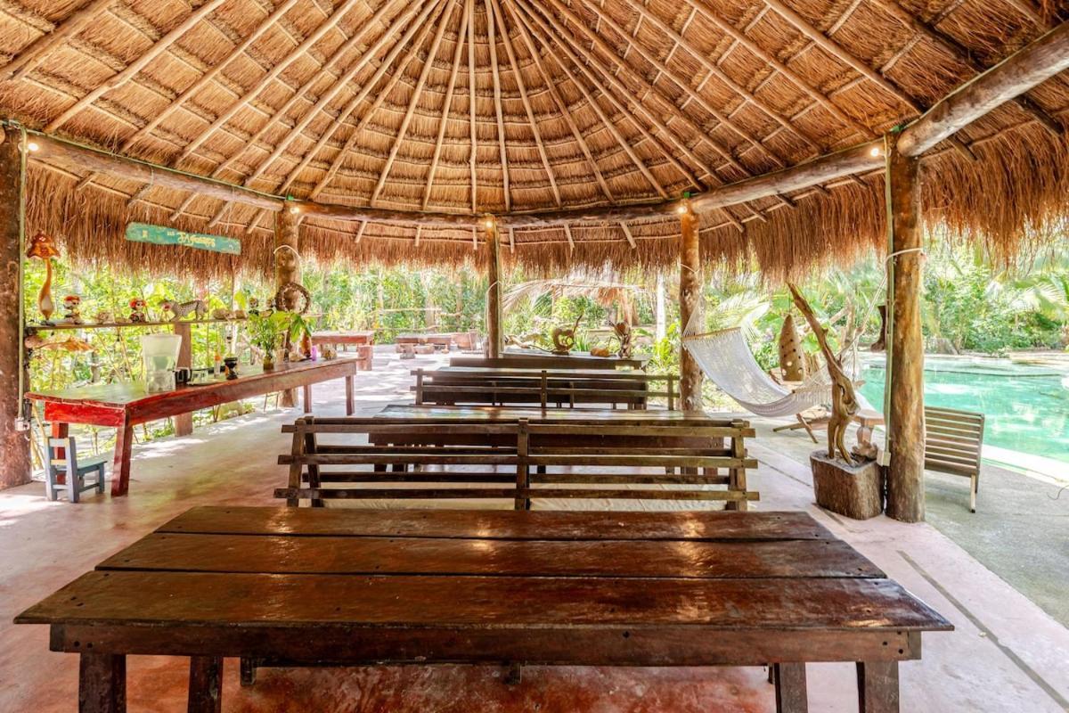 Campsite Zapote En Rancho Jaguares Jungle Retreat *