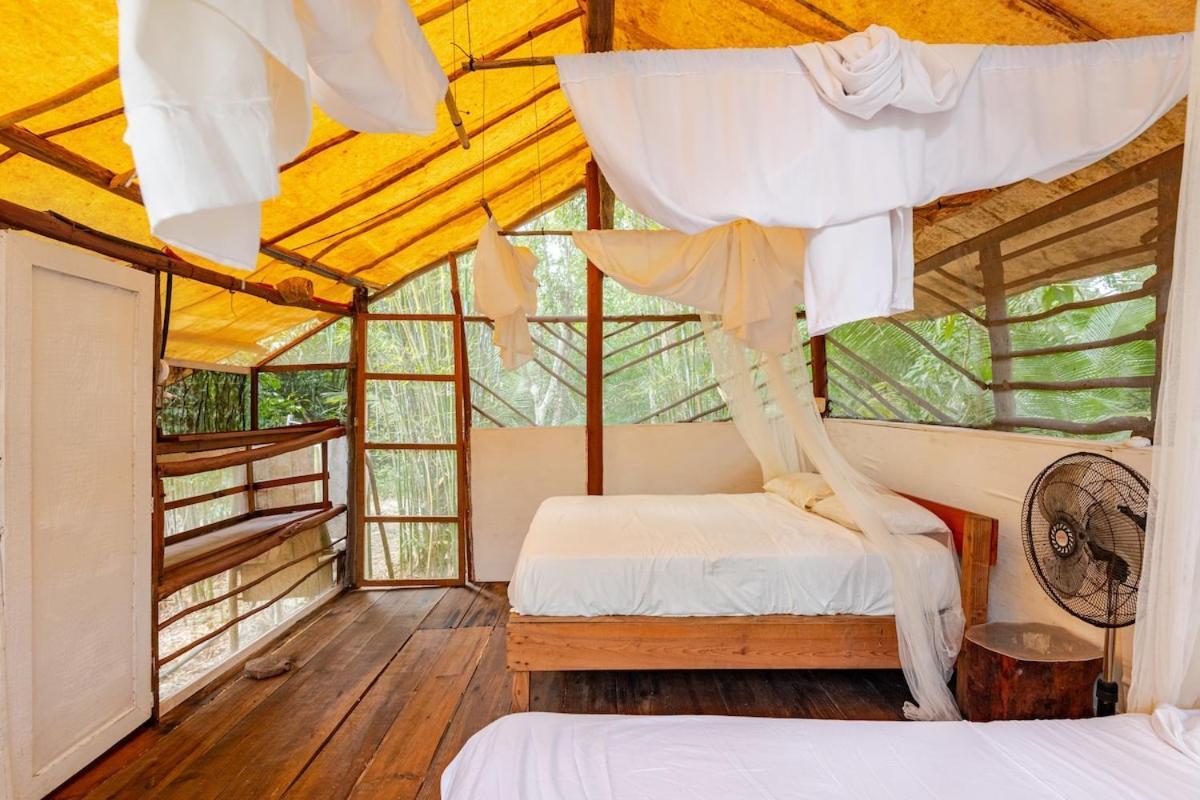 Zapote En Rancho Jaguares Jungle Retreat