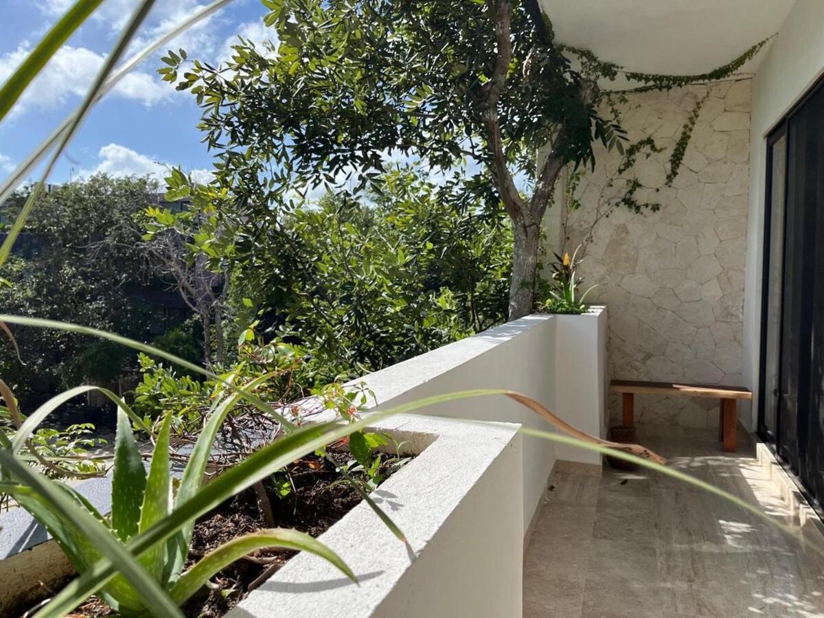 Apartment 2 Bedrooms 10 Minutes To The *