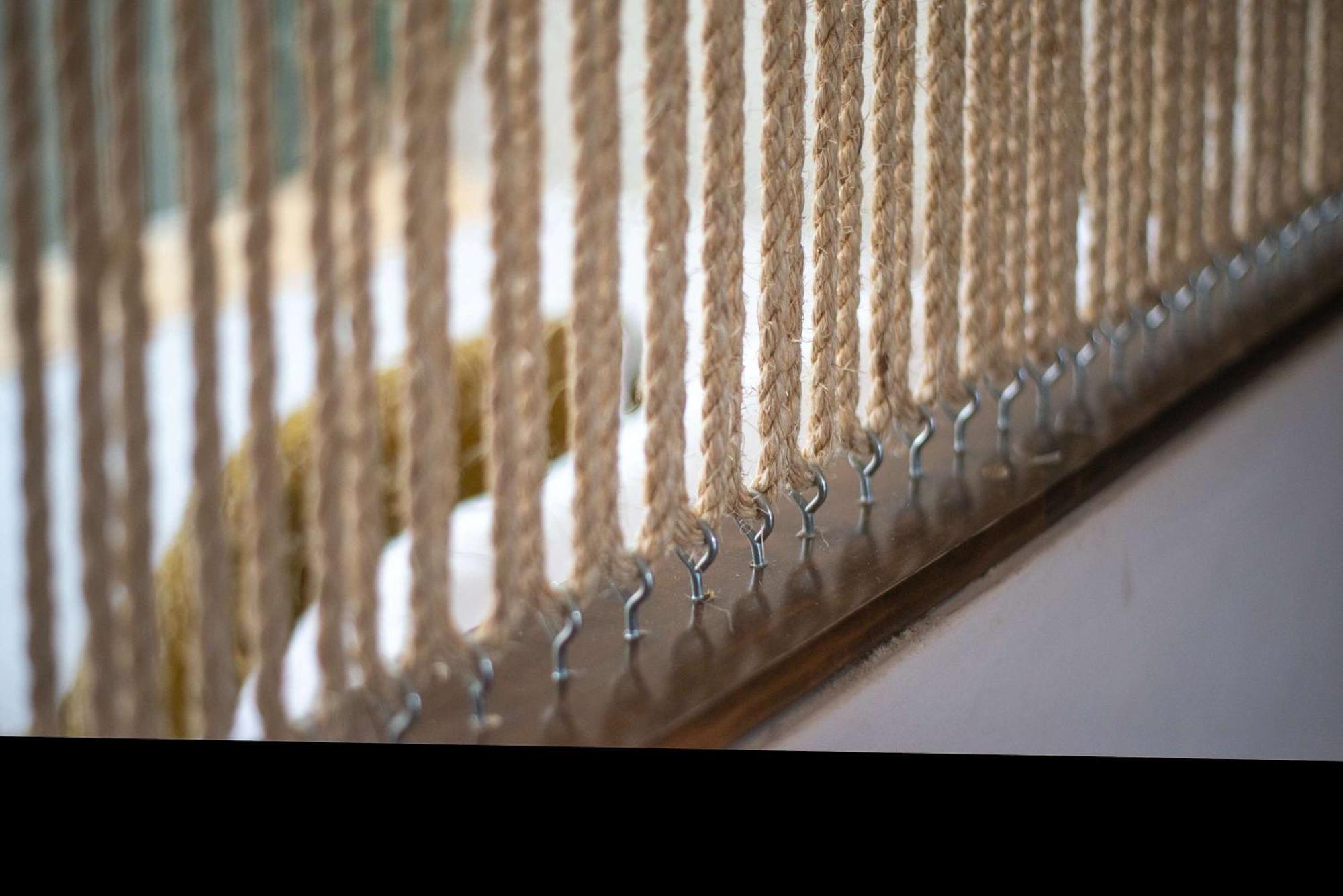 Spacious Jungle Retreat Near Beaches & Zone *