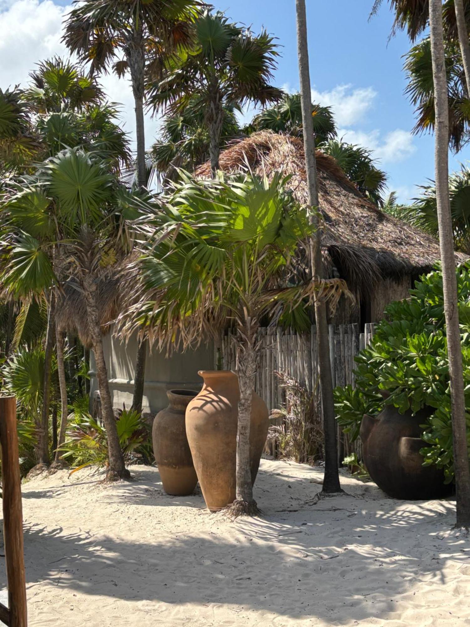 Hotel Amana , Front *
