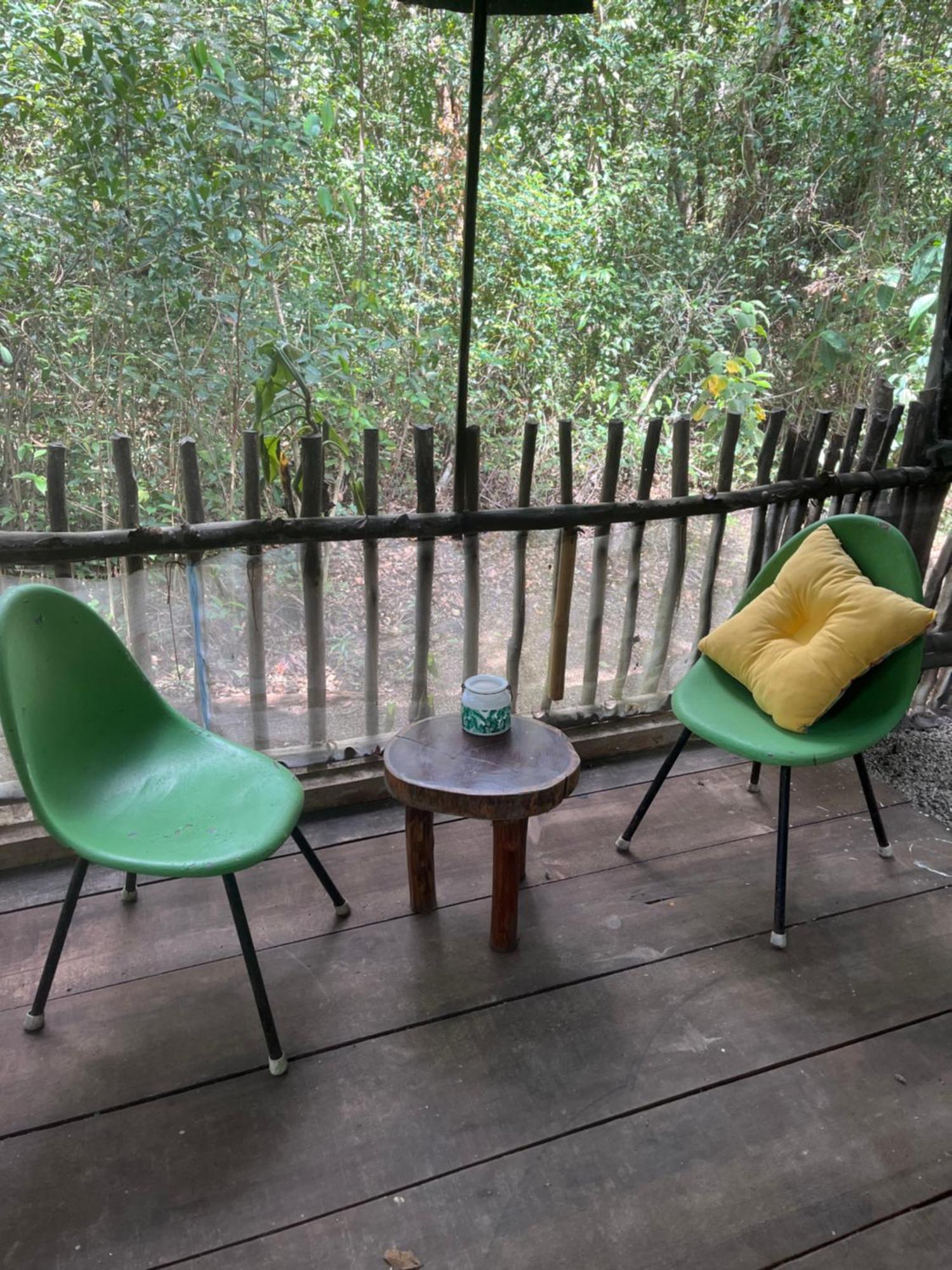Casa Tzalam Departamento Jungle Apartment Tulum