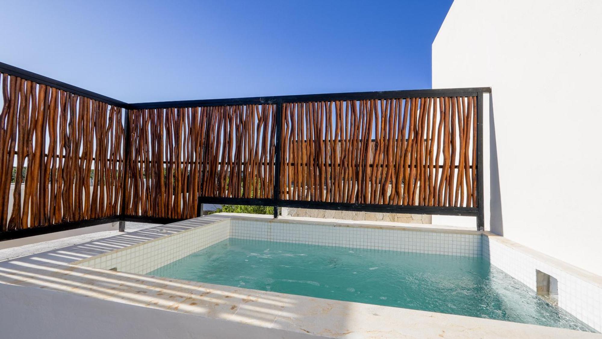 Divine House With Private Roof And Pool Only 1km From The *