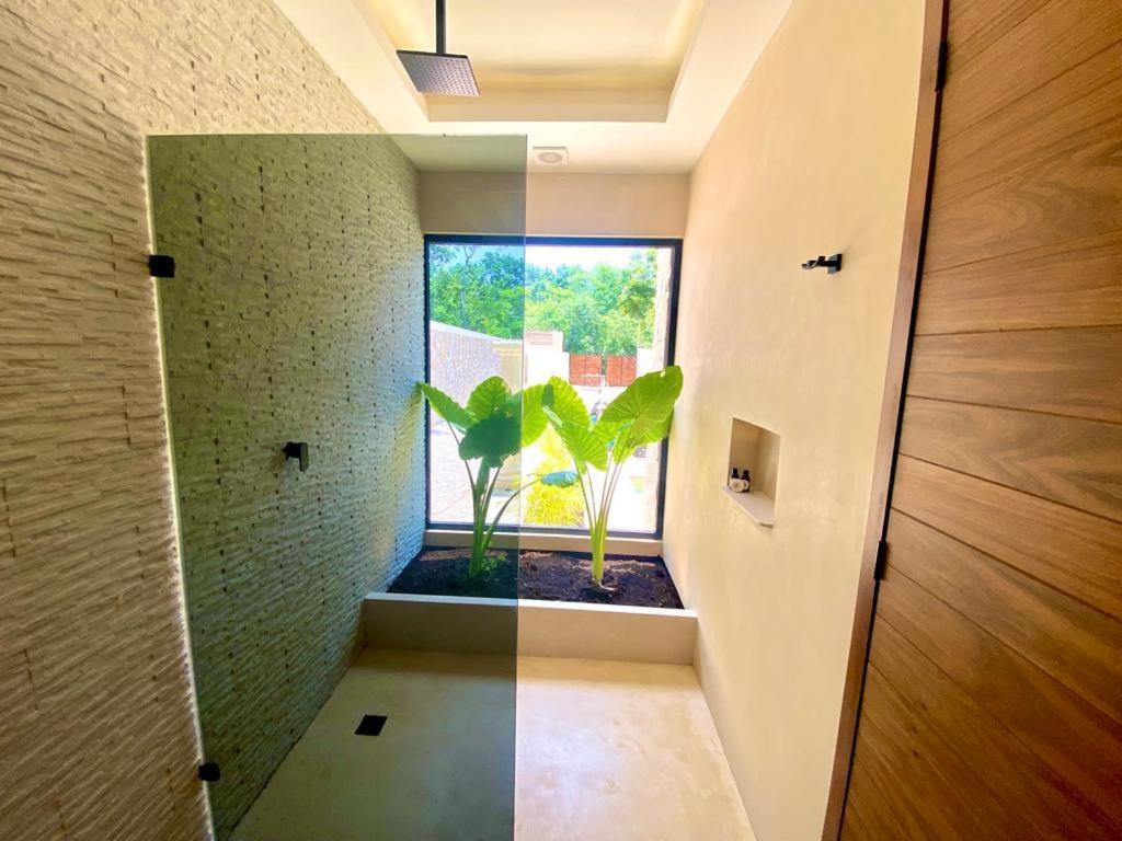Picasso Villa
