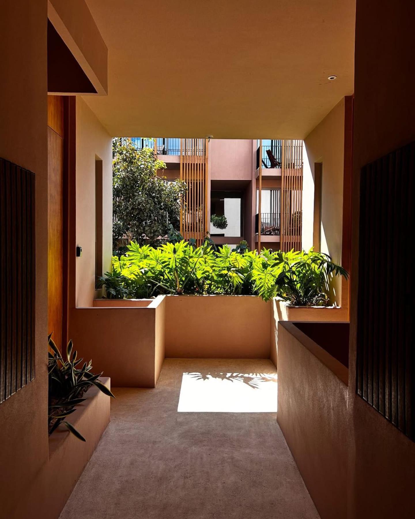 Apartamento Jungle Loft Bike Included