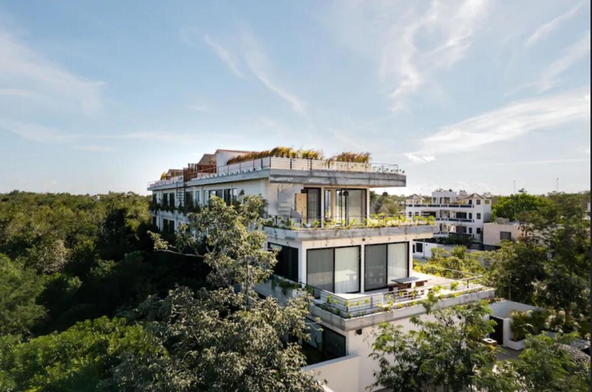 La Veleta Sunrises & Jungle View Near Holistika