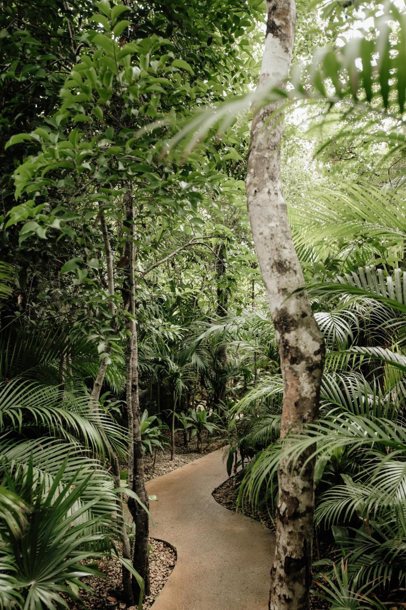 Casa Coco Jungle - Pv Pool & Concierge 5b Villa Tulum