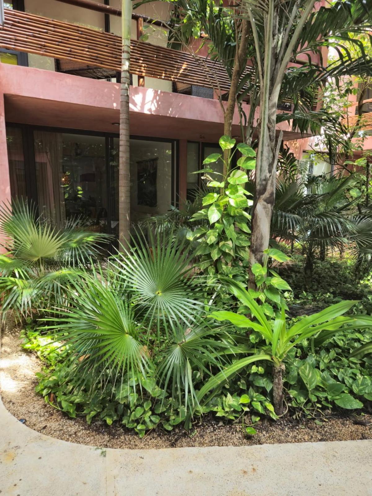 Caribbean Soul Tulum