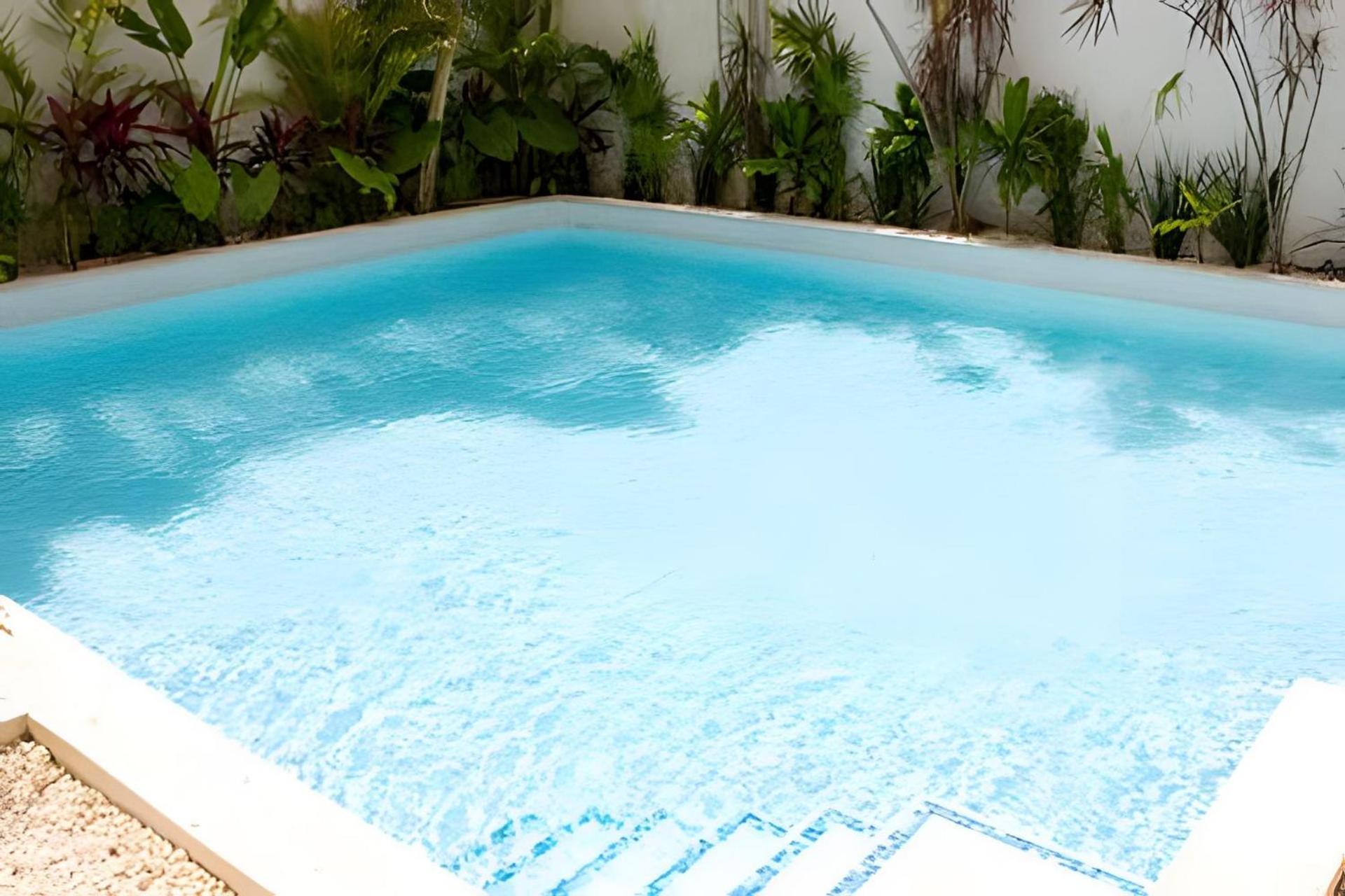 Departamento Con Alberca Privada En Tulum