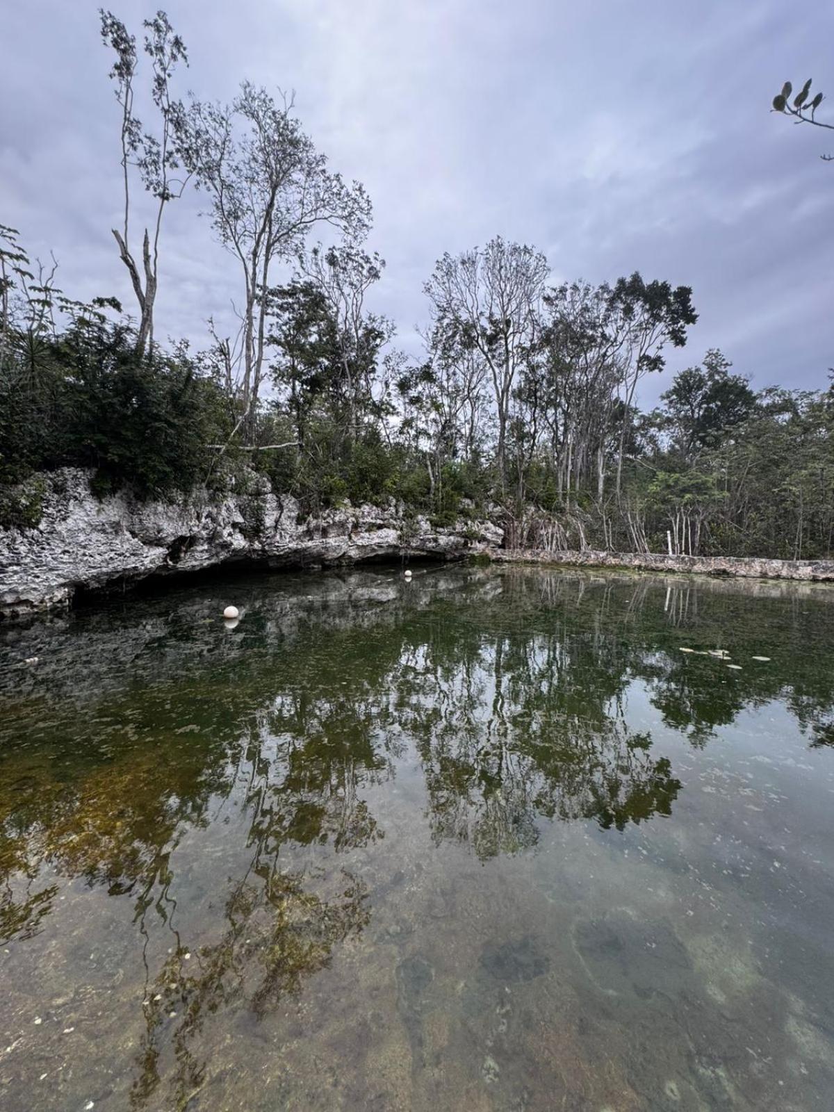 Apartment Departamentos Kuxtal V&c *