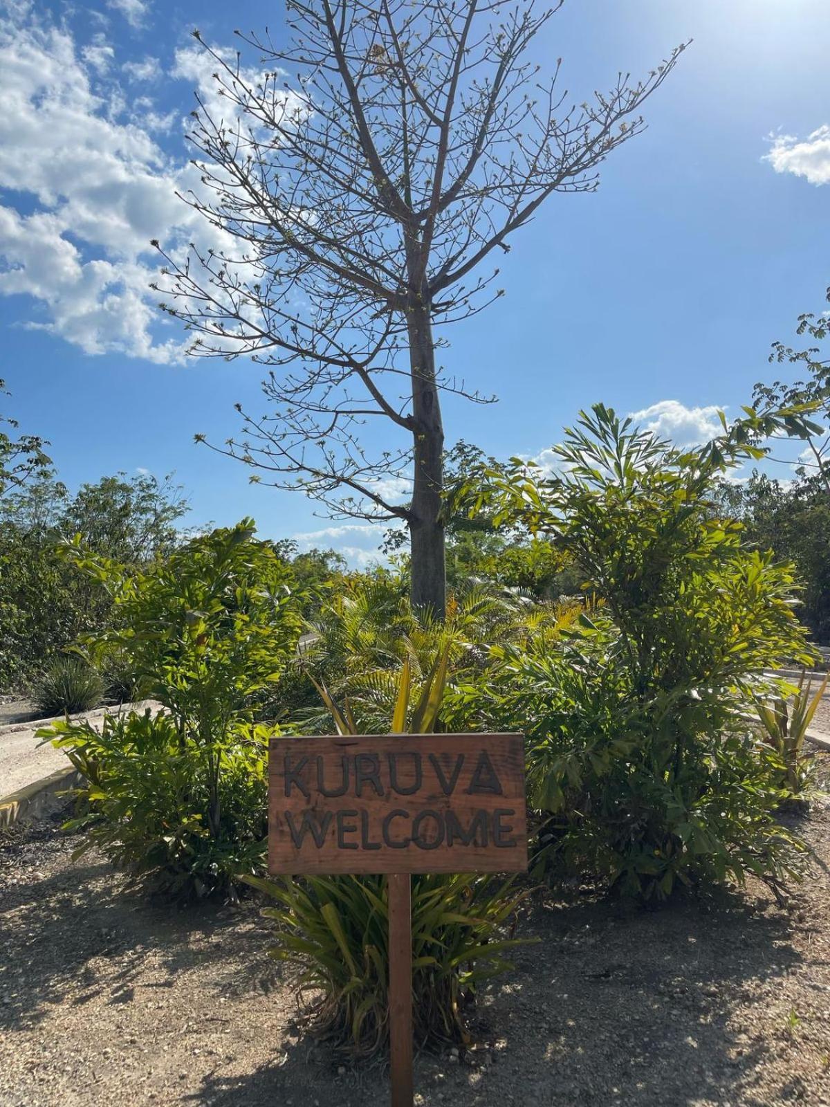 Apartment Departamentos Kuxtal V&c