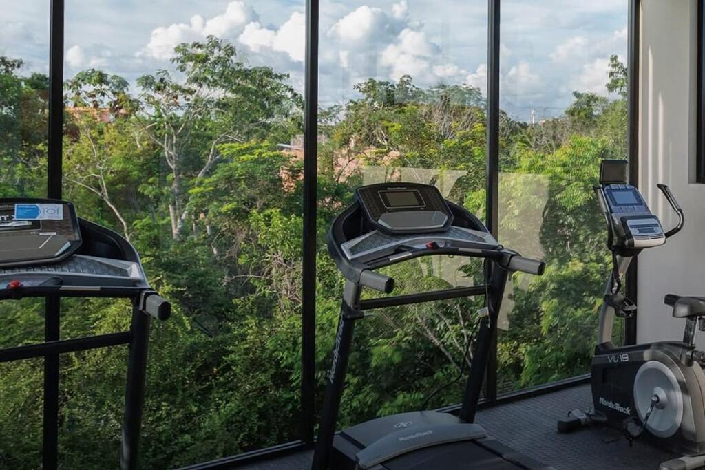 Luxury In Tulum, With Security Apartment