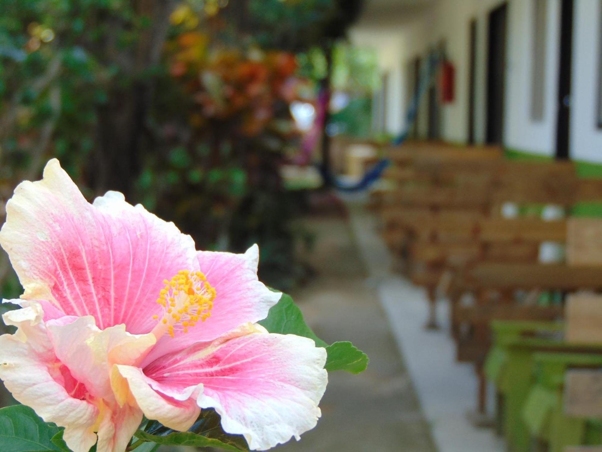 Bed & Breakfast Crucero