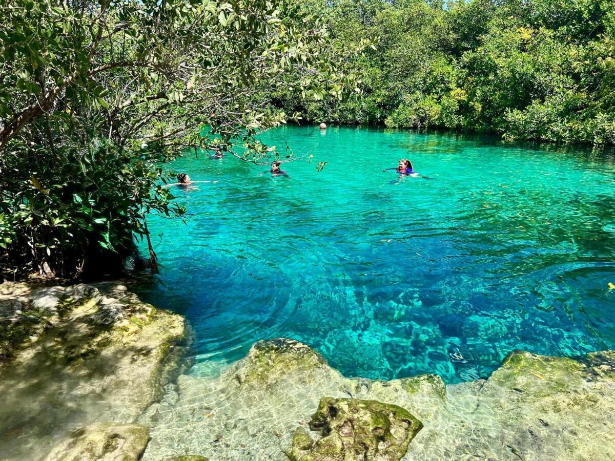 In Tankah Bay Where Jungle Meets * Tulum