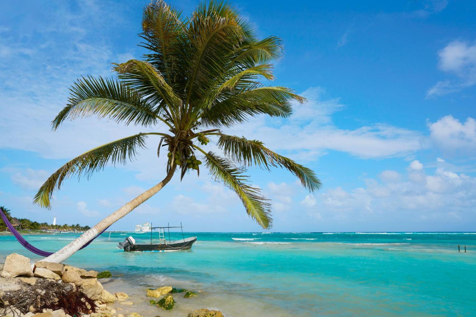 Apartment Canopy Cove Loft Private Jacuzzi Parking & B-club *