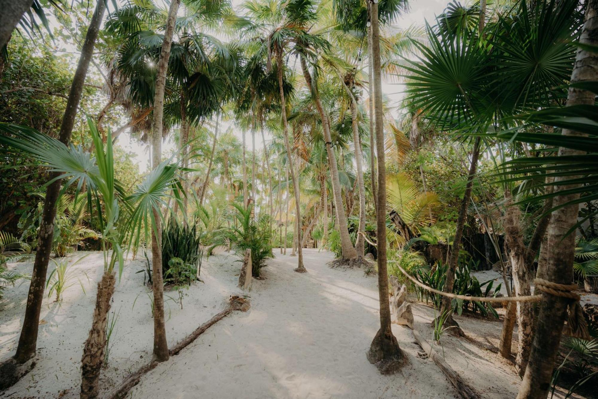 Beautiful Penthouse With Private Rooftop Apartment Tulum