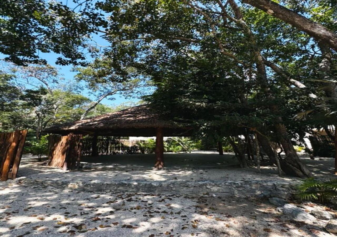 Luxory Village * Tulum