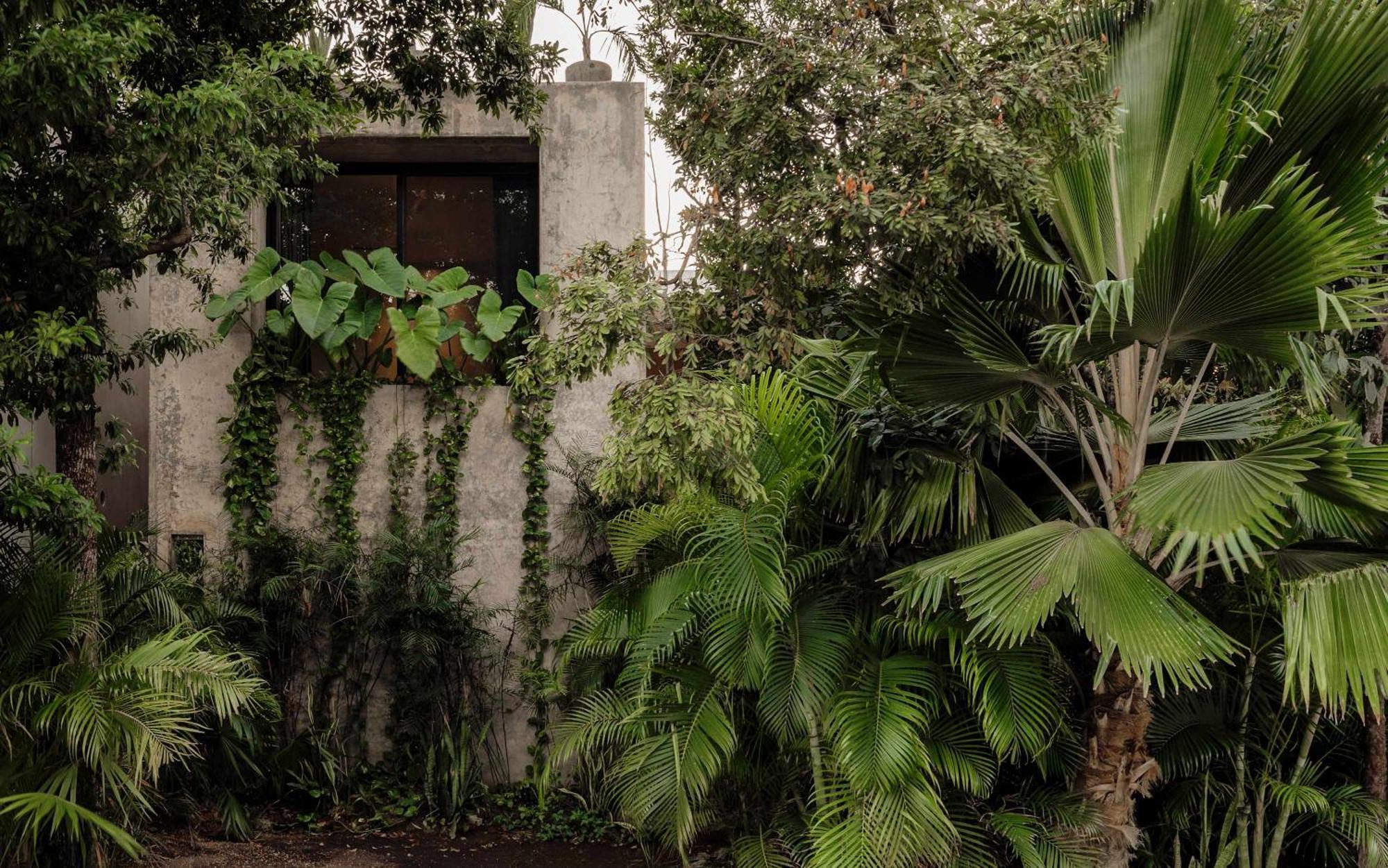 Tulum's Famous Architectural Gem * Tulum