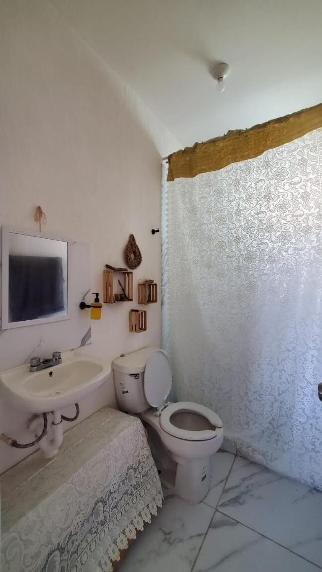 Hippie Artisan Jungle Flat Pool