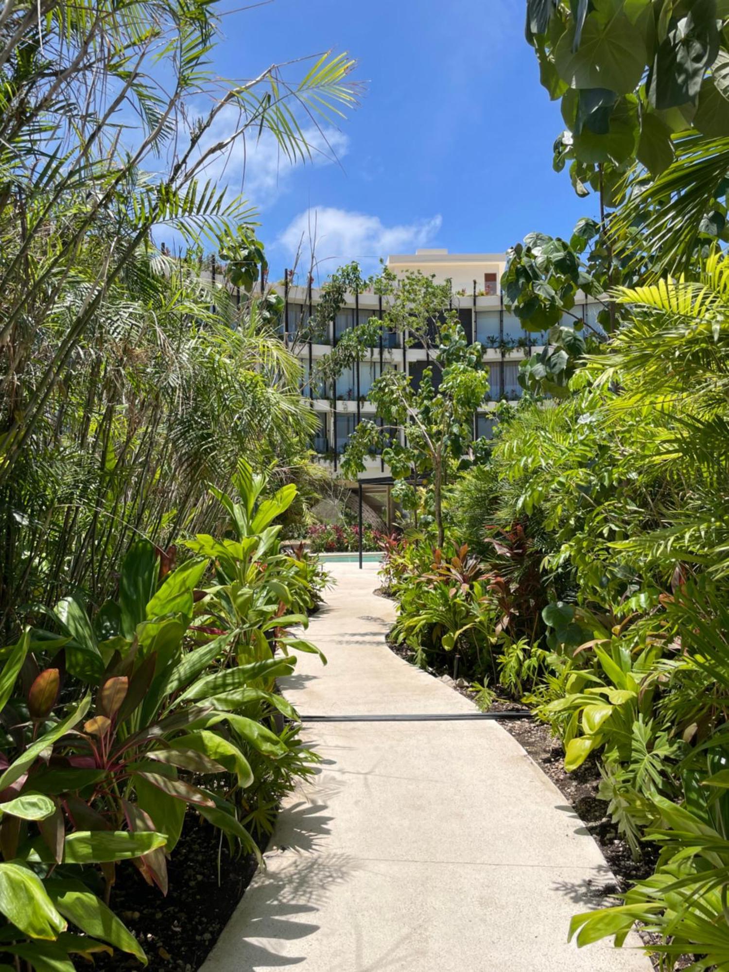 Apartment Lu'um - Free Shuttle To Club *