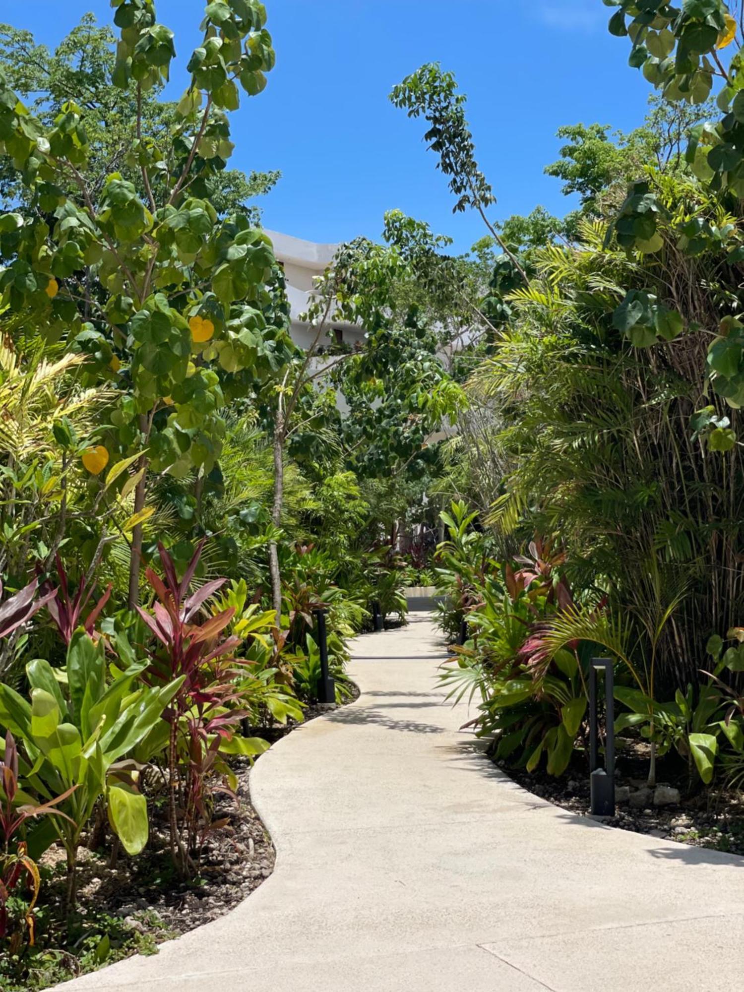 Lu'um - Free Shuttle To Club *