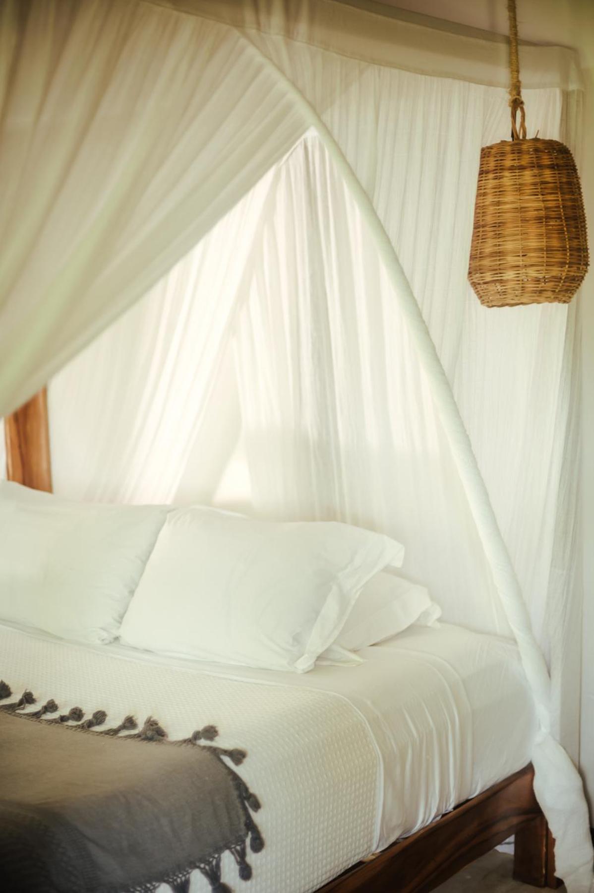 Casa Violeta Hotel Tulum
