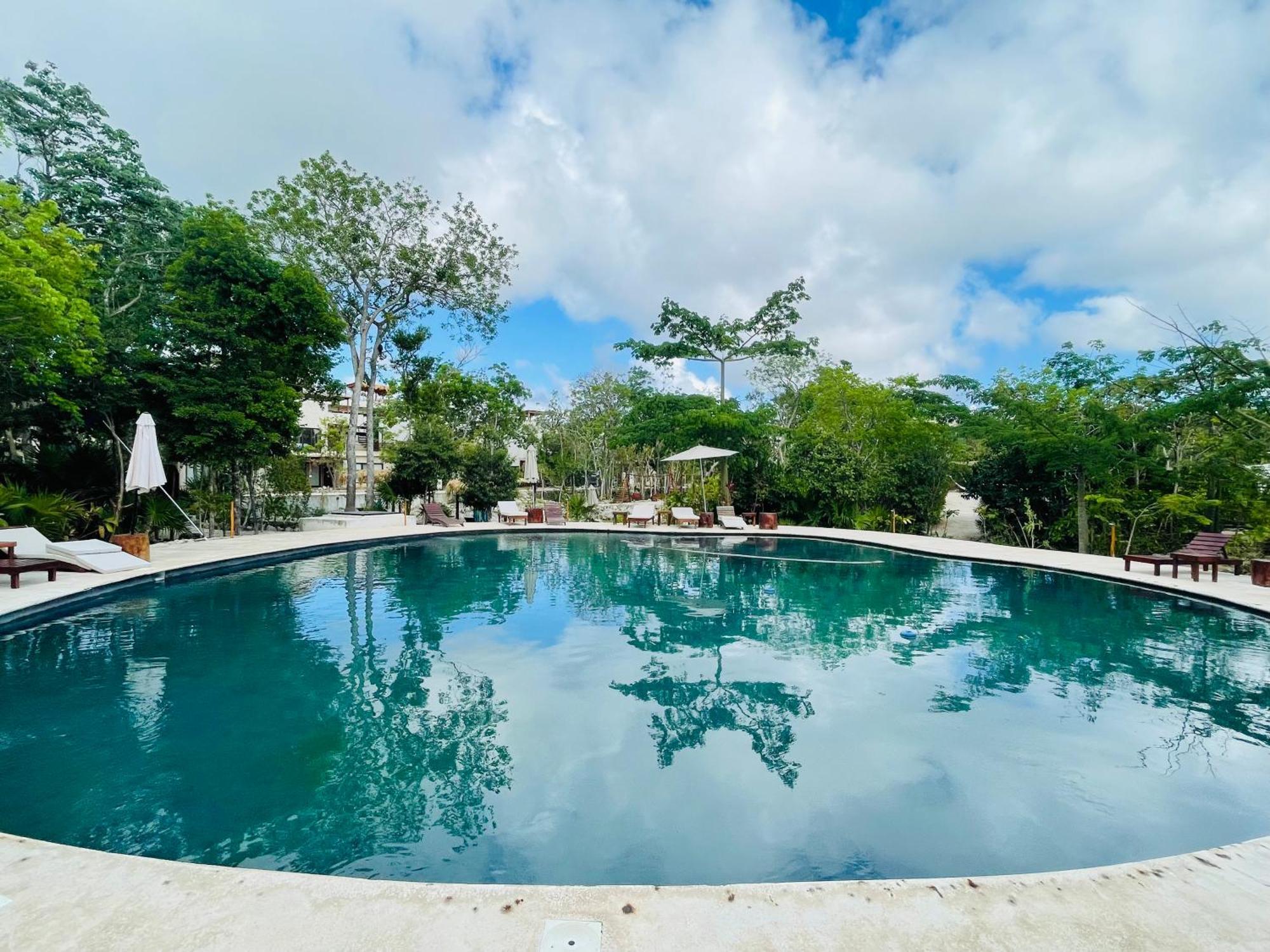 Family In The Jungle With Cenotes And Big Pool Tulum