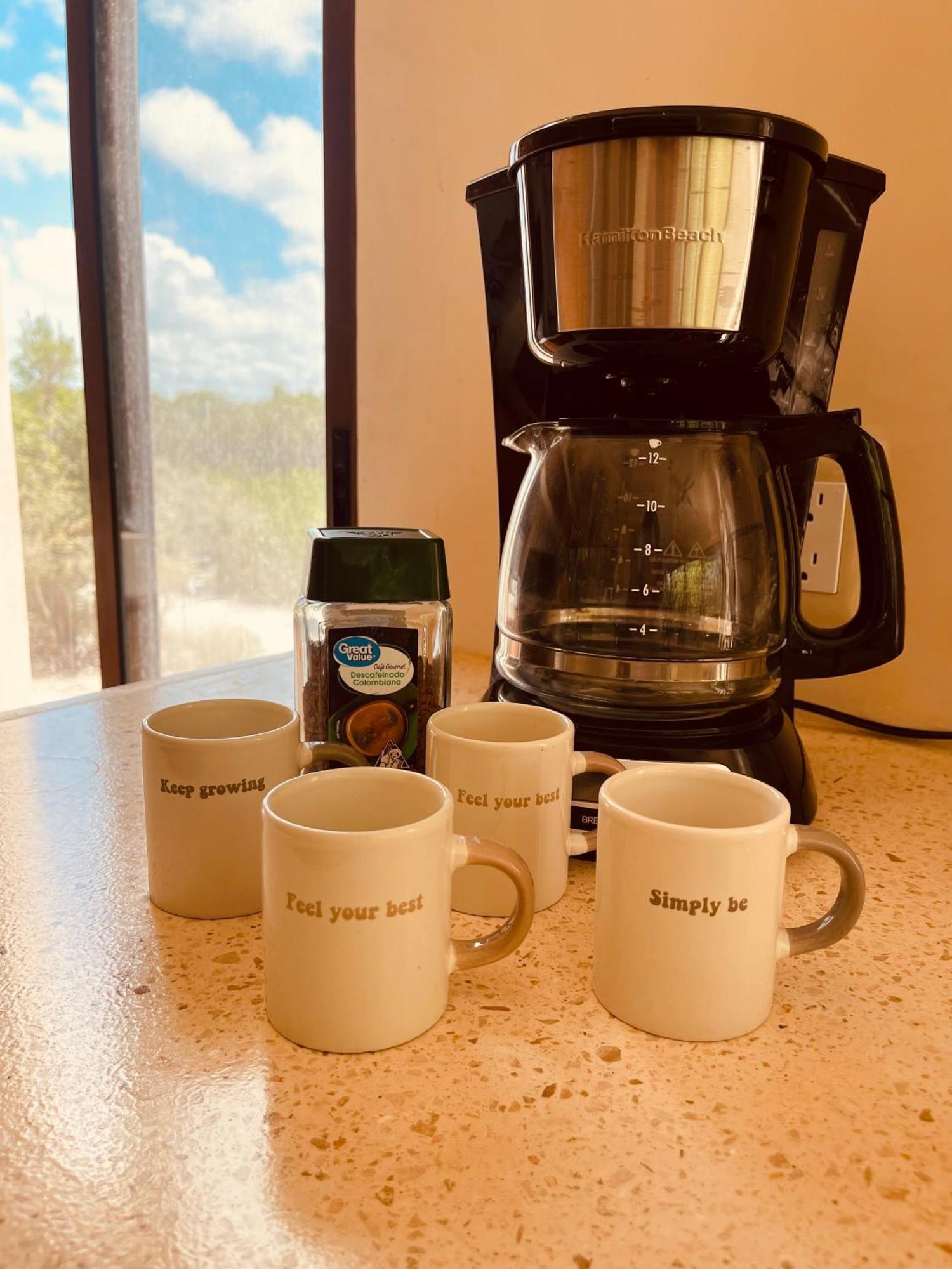 Family In The Jungle With Cenotes And Big Pool