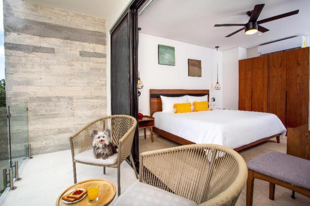 The Panoramic By Xperience 4*