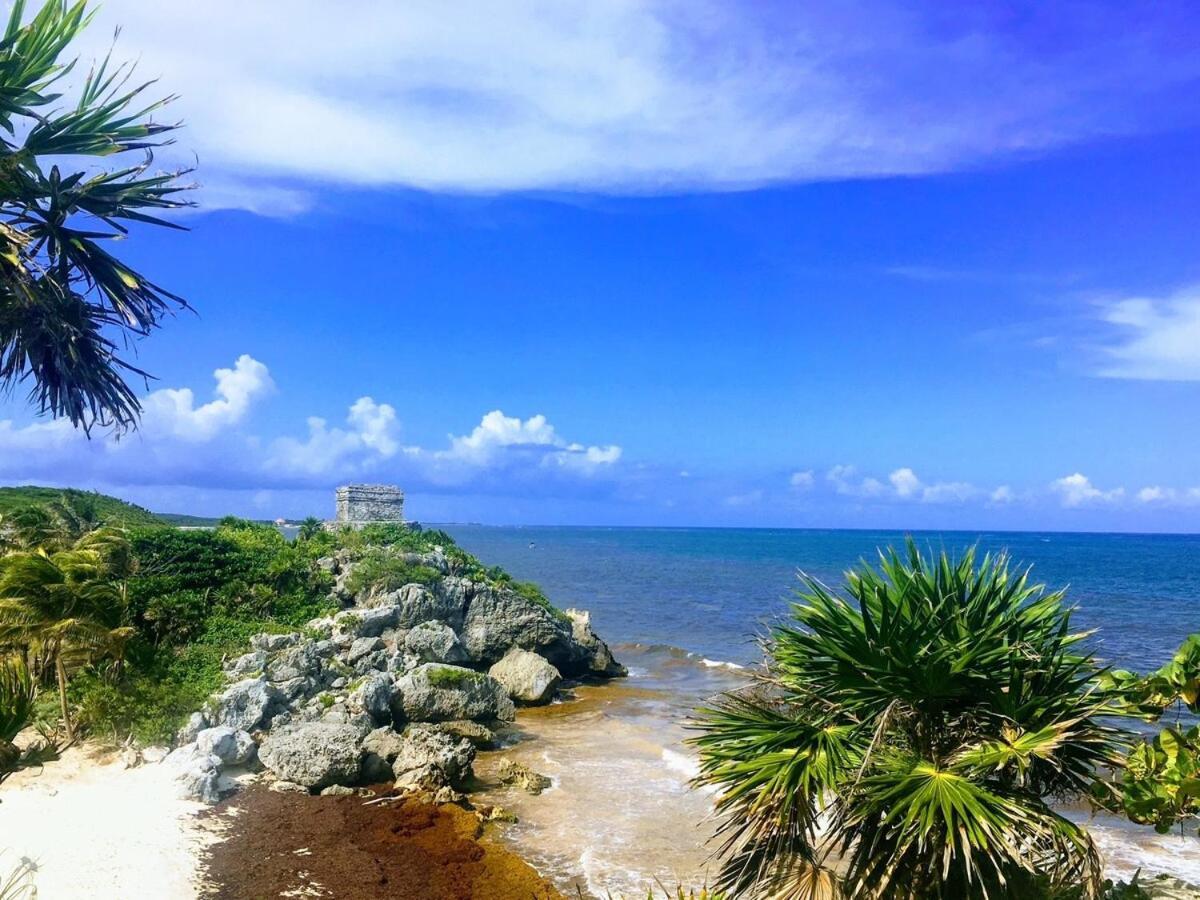 Jungle Sanctuary With Apartment