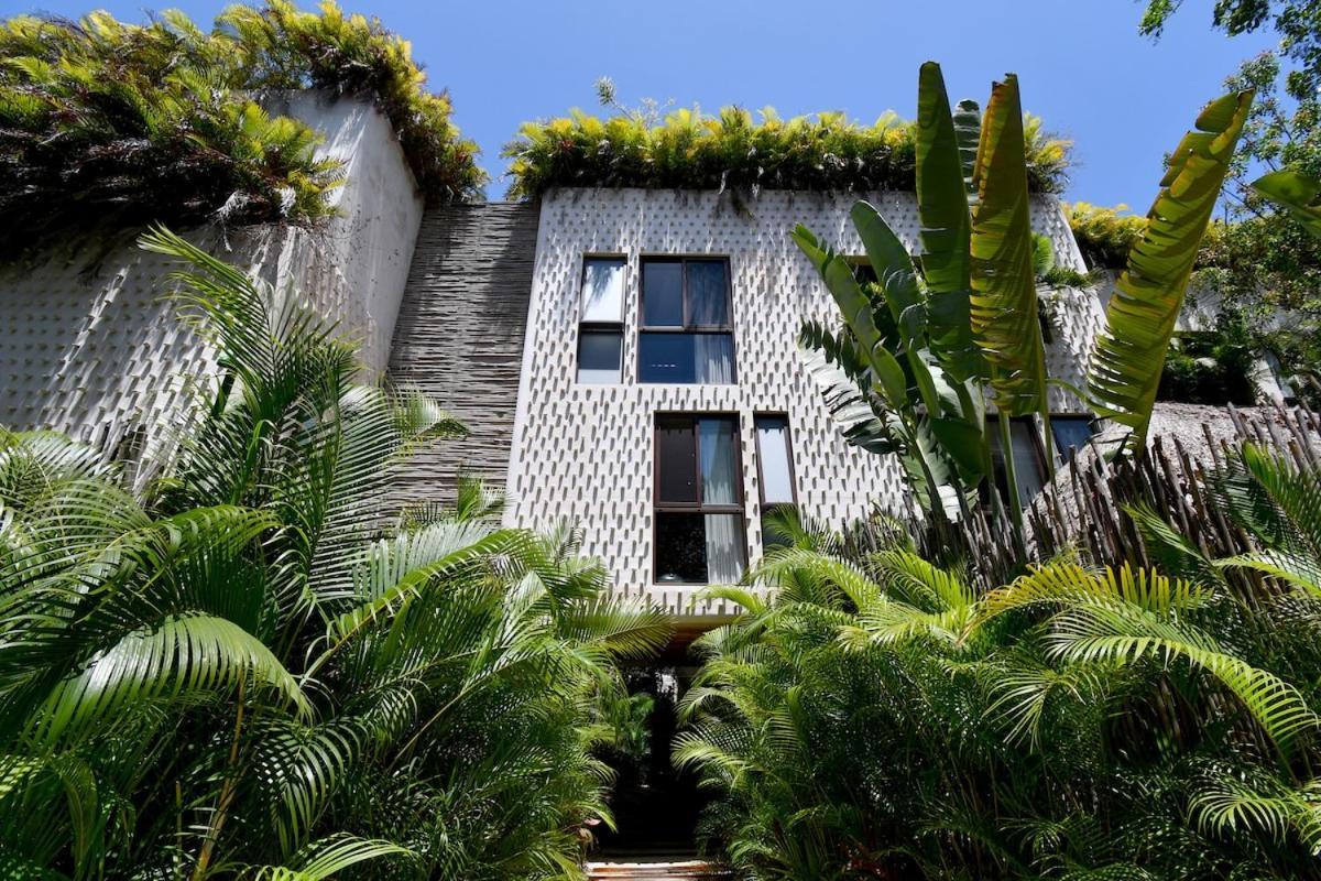 Apartment Jungle Sanctuary With