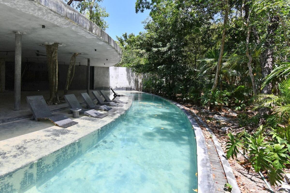 Apartment Jungle Sanctuary With *