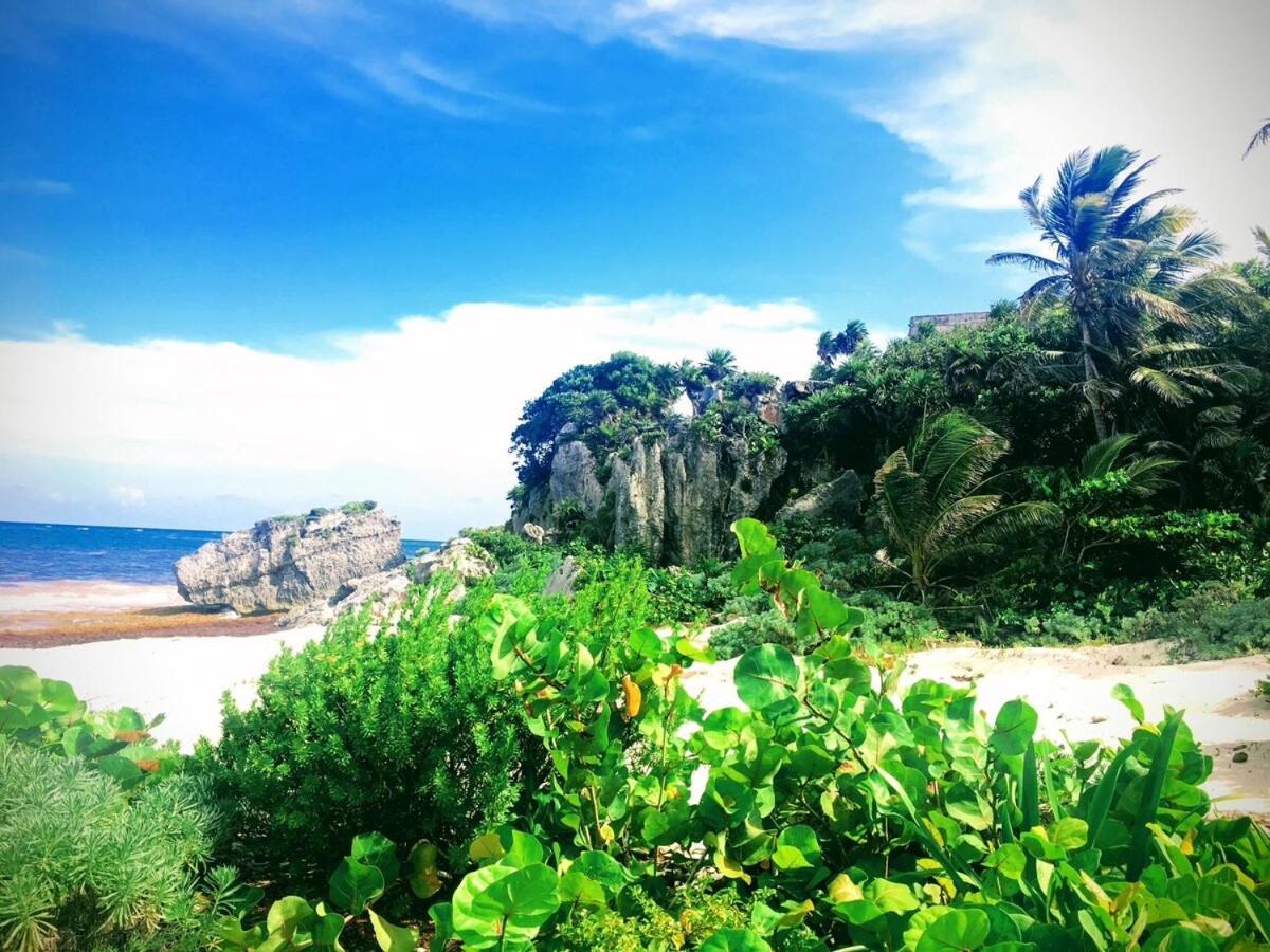 Apartment Jungle Sanctuary With Tulum