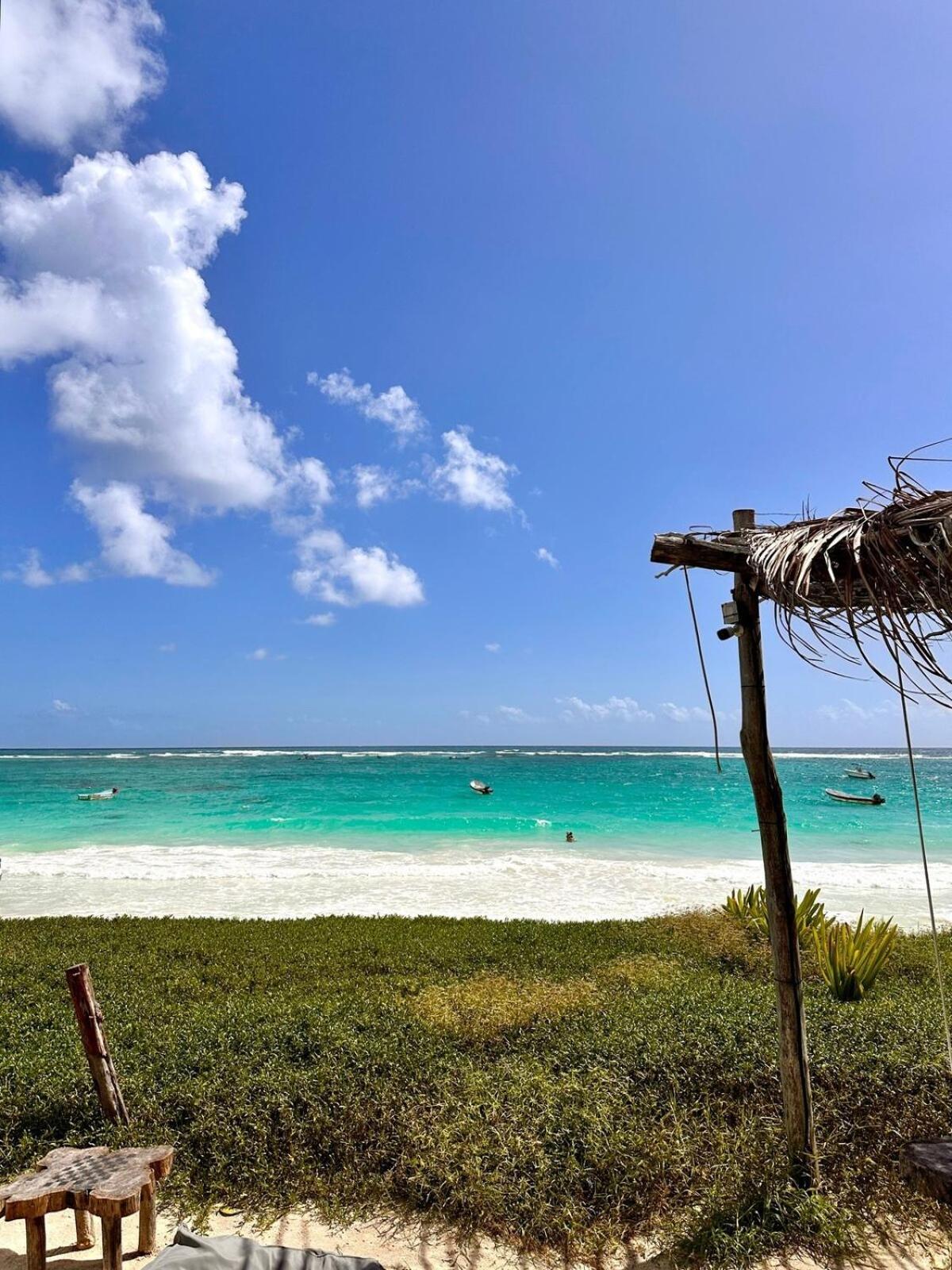 Apartment Jungle Sanctuary With