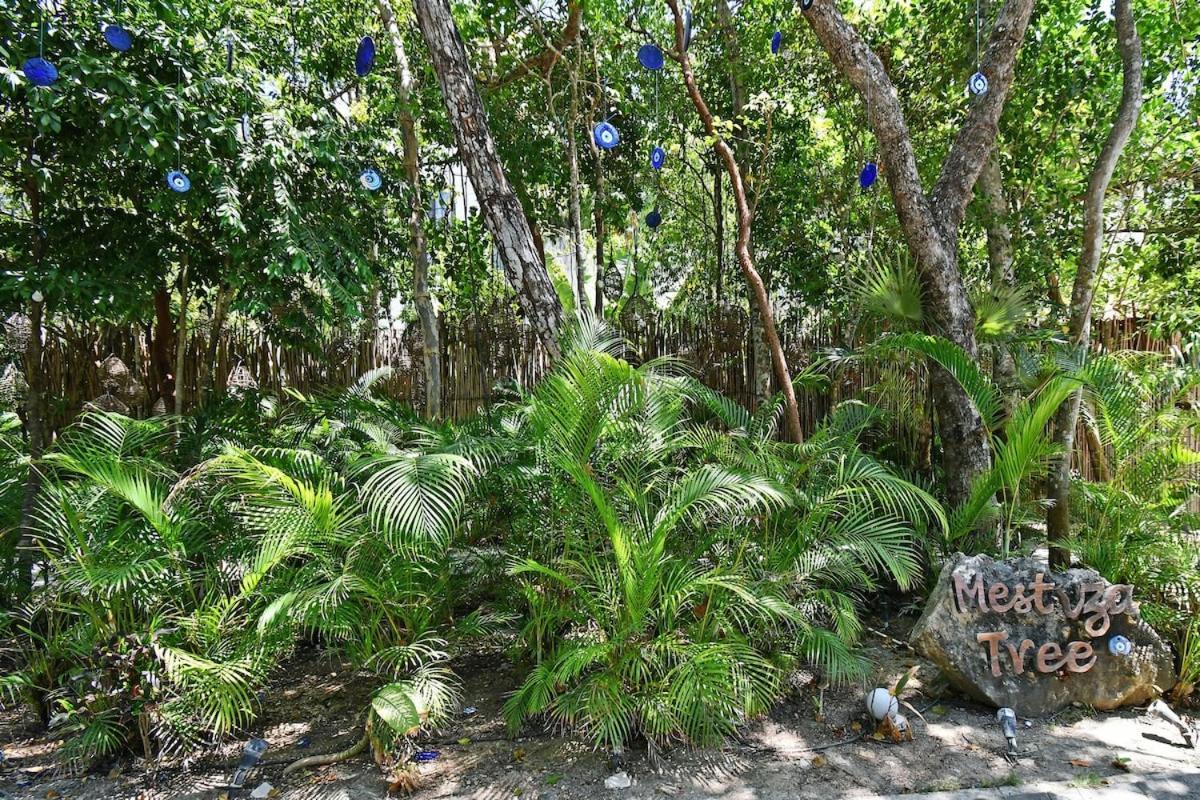 Apartment Jungle Sanctuary With *