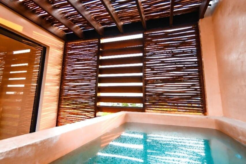 Apartment A Double-height With A Private Pool