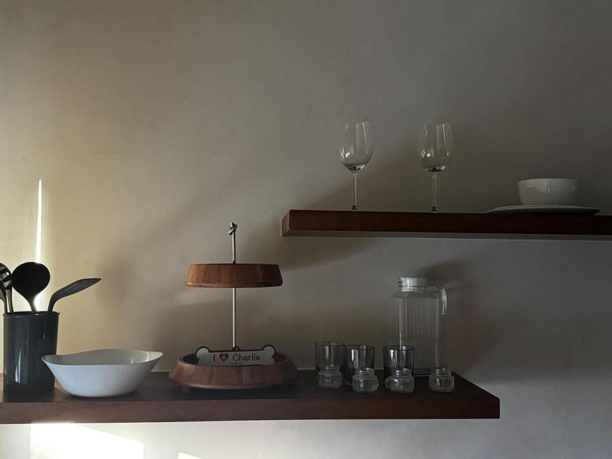 Jungle Loft With Pool And Rooftop Near And Cenotes And Dowtown! Fast Wifi! Perfect For Expats Apartment