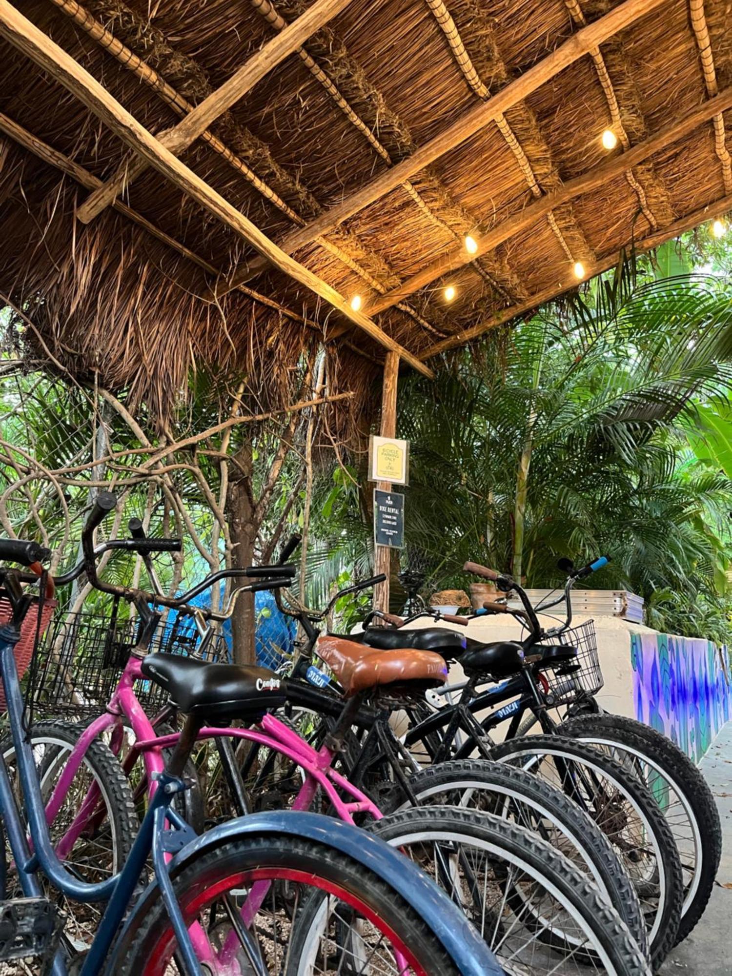 Maui Hostel *