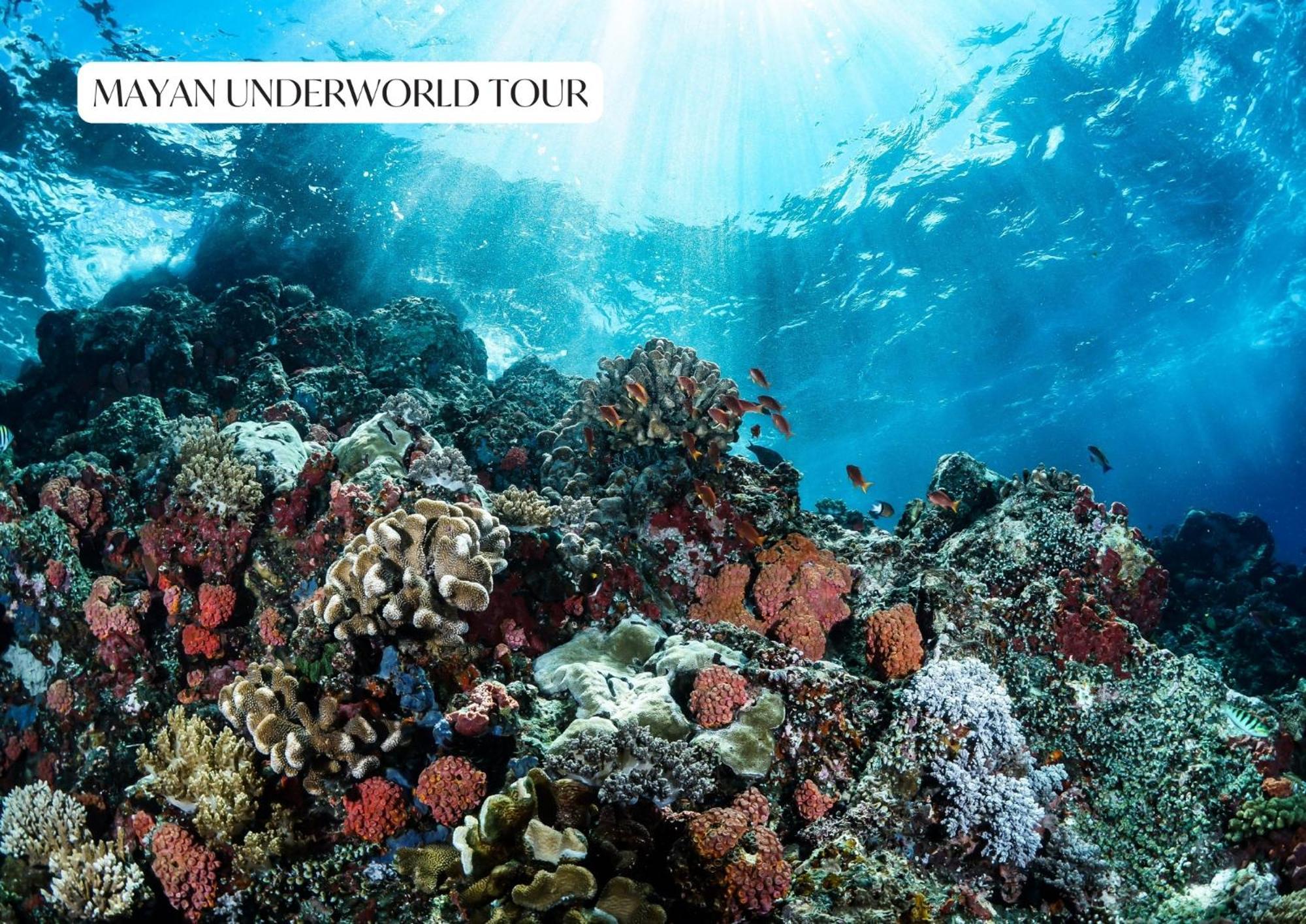 Apartment With Rooftop Pool, Gym, Coworking, Cinema *